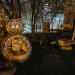 Сад из фигурок ручной работы в городе Москва