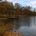 Park gminny w Ornontowicach