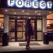 Бутик-отель Forest 4* в городе Малоярославец