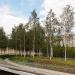 Берёзовая роща в городе Москва
