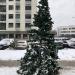 Место для установки новогодней ёлки в городе Москва