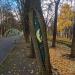 Дерево с рисунком на стволе в городе Москва