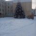 Средняя школа № 127 в городе Барнаул