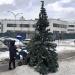 Место для установки новогодней ёлки в городе Москва