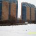 Облепиховый сквер в городе Реутов