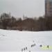 Низинное болото в городе Реутов
