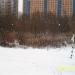 Низинное болото в городе Реутов