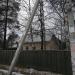 Шифлеровская ул., 15/10 в городе Вырица