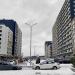 Газон в городе Москва