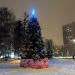 Место установки Новогодней ели в городе Москва