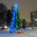 Место установки Новогодней ели в городе Москва