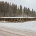 Скотный двор в городе Куркиёки