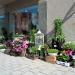 Kukkakauppa Hortensia in Riihimäki city