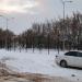 Площадка для выгула собак (ru) в місті Дєдовськ