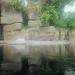 Hippopotamus Pavilion (en) in Praha city
