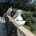 Bird pavilion (en) in Praha city