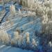 Peltosaaren koirapuisto in Riihimäki city