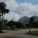 Morro Bay State Park Campground