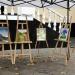 Виставка дитячих малюнків в місті Житомир