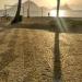 Praia de São Francisco (pt) in Niterói city