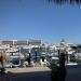 Captain Tony's in Cabo San Lucas city