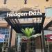 Haagen Dasz in Cabo San Lucas city