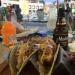 Tacos & Beer in Cabo San Lucas city