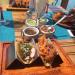 Tacos & Beer in Cabo San Lucas city