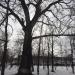 Сквер в городе Барвенково