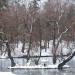 Домик в городе Гатчина