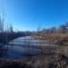 Пруд в городе Мирноград
