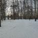 Павловский парк (роща) в городе Ярославль