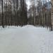 Павловский парк (роща) в городе Ярославль