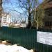 Дерево в городе Гатчина