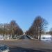Липовая аллея в городе Гатчина
