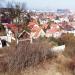 Widok XV 