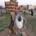 Скульптура «Волк» в городе Магнитогорск