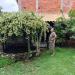 Dona Maria Mudas de Plantas na Paty do Alferes city