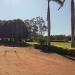 VEC - Veteranos Esporte Clube na Pereira Barreto city