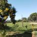 Campo de Futebol na Pereira Barreto city