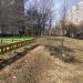Посадки в городе Москва