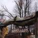 Dinopark Amusement Park (en) в городе Житомир