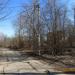 Заросший пригорок в городе Гатчина
