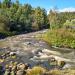 Asilankoski rapids