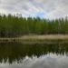 Pond on Kiovsky Gully