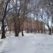 Горская ул., 1 в городе Барнаул