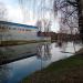 Пруд «Гитара» в городе Ашукино