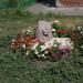 Скульптура льва в городе Хвалынск