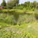 Pond