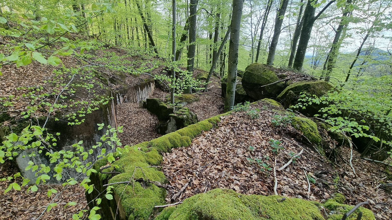 Regelbau Westwall (Siegfriedline)